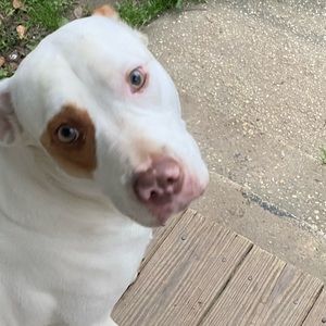 Meet your Posher, Lynn